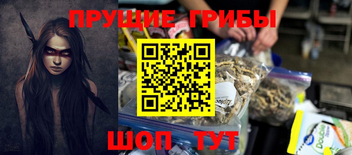 Псилоцибиновые грибы MAGIC MUSHROOMS  Псилоцибиновые грибы Magic Shrooms  Ступино  Вход с VPN 