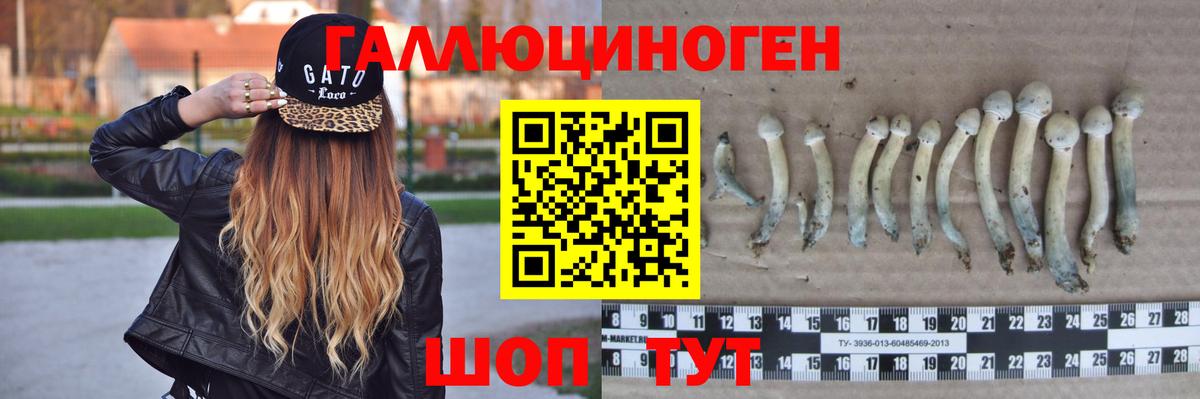 Псилоцибиновые грибы мухоморы Ступино